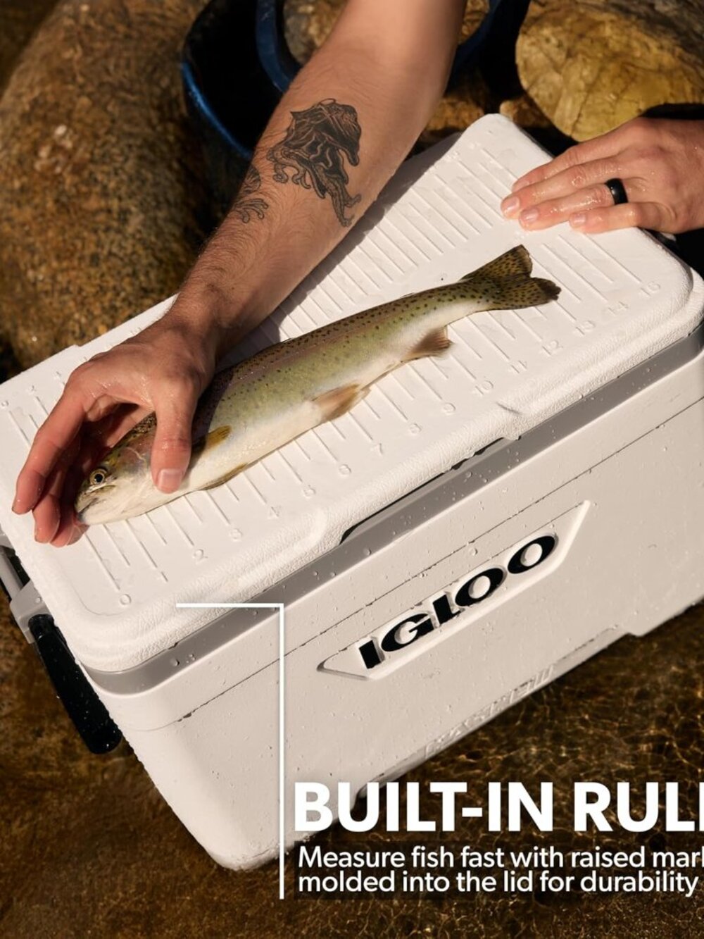 Marine Cooler | Insulated Hard Shell Ice Chest |Great for Fishing, Camping, Boat - Picture 4 of 11